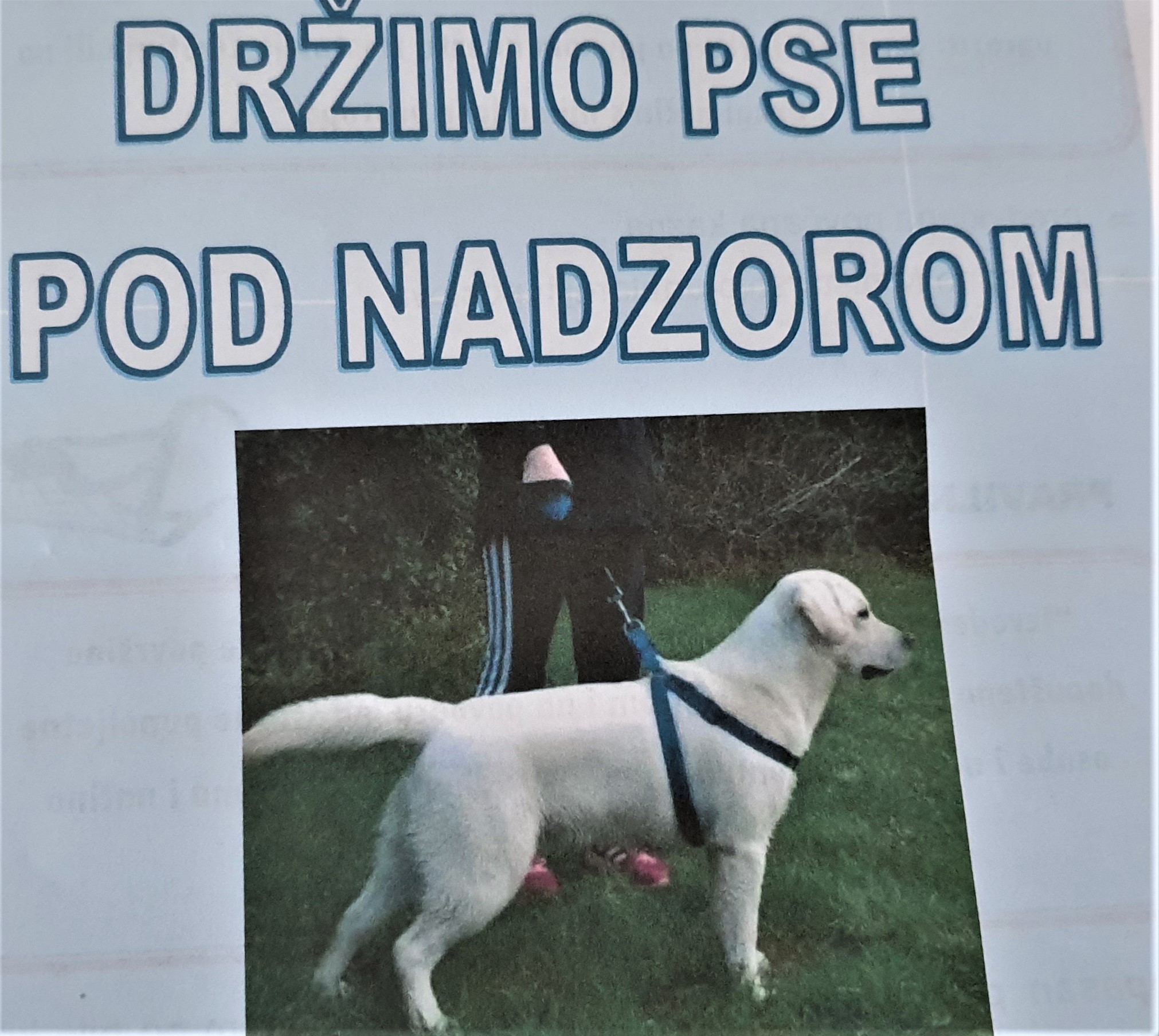 Započela preventivna kampanja PU Istarske: «Držimo pse pod nadzorom»